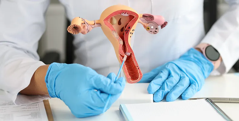 Hymenoplasty Service Banner