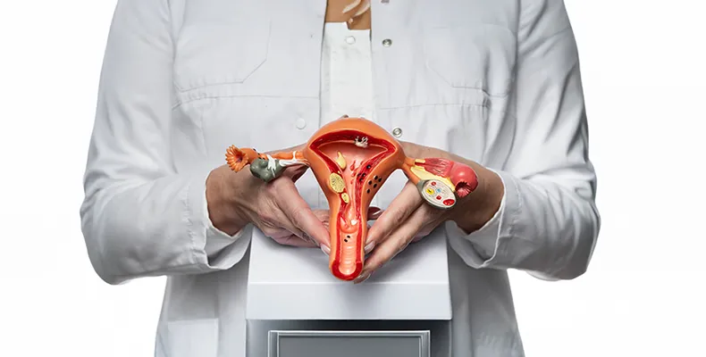 Vaginal Rejuvenation Service Banner